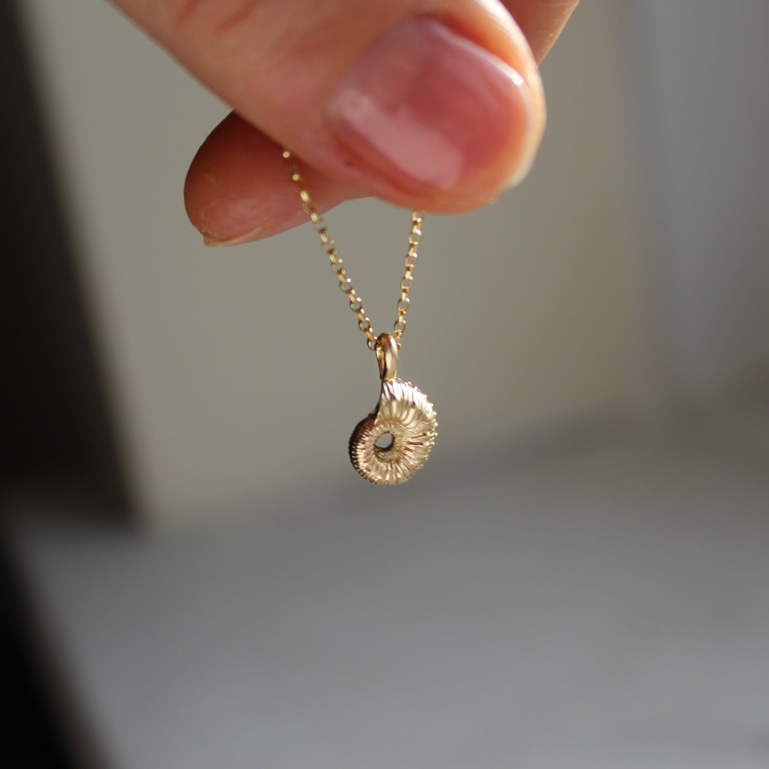 Ammonite necklace 9ct gold - Brotheridge