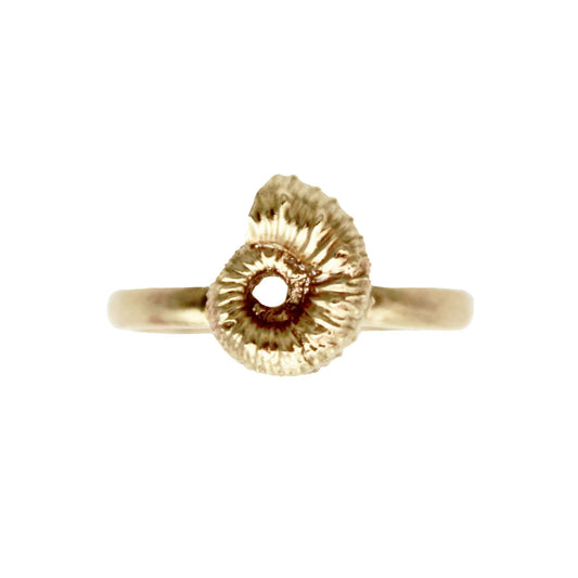 Ammonite Ring - Solid Gold