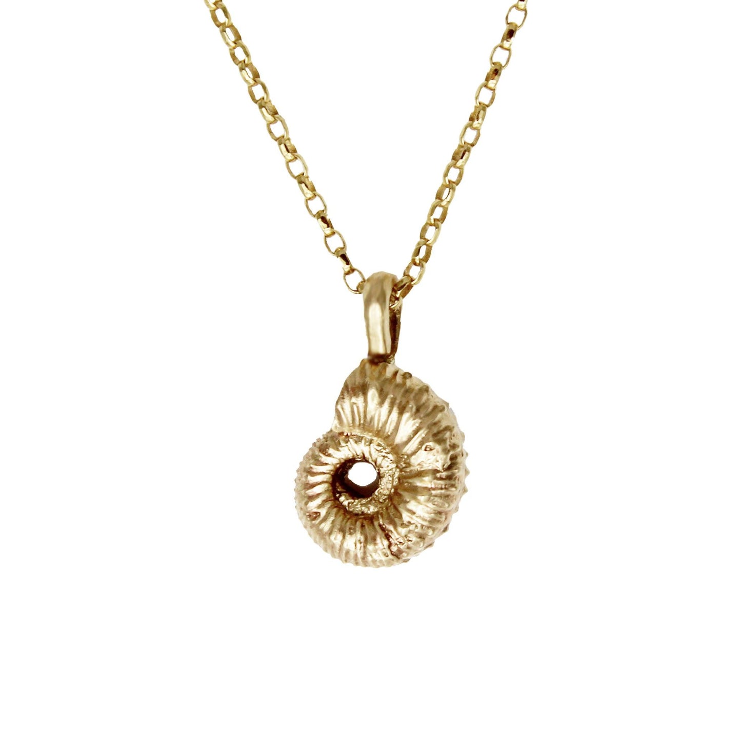 Ammonite Necklace - Solid Gold