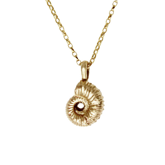 Ammonite Necklace - Solid Gold - Brotheridge