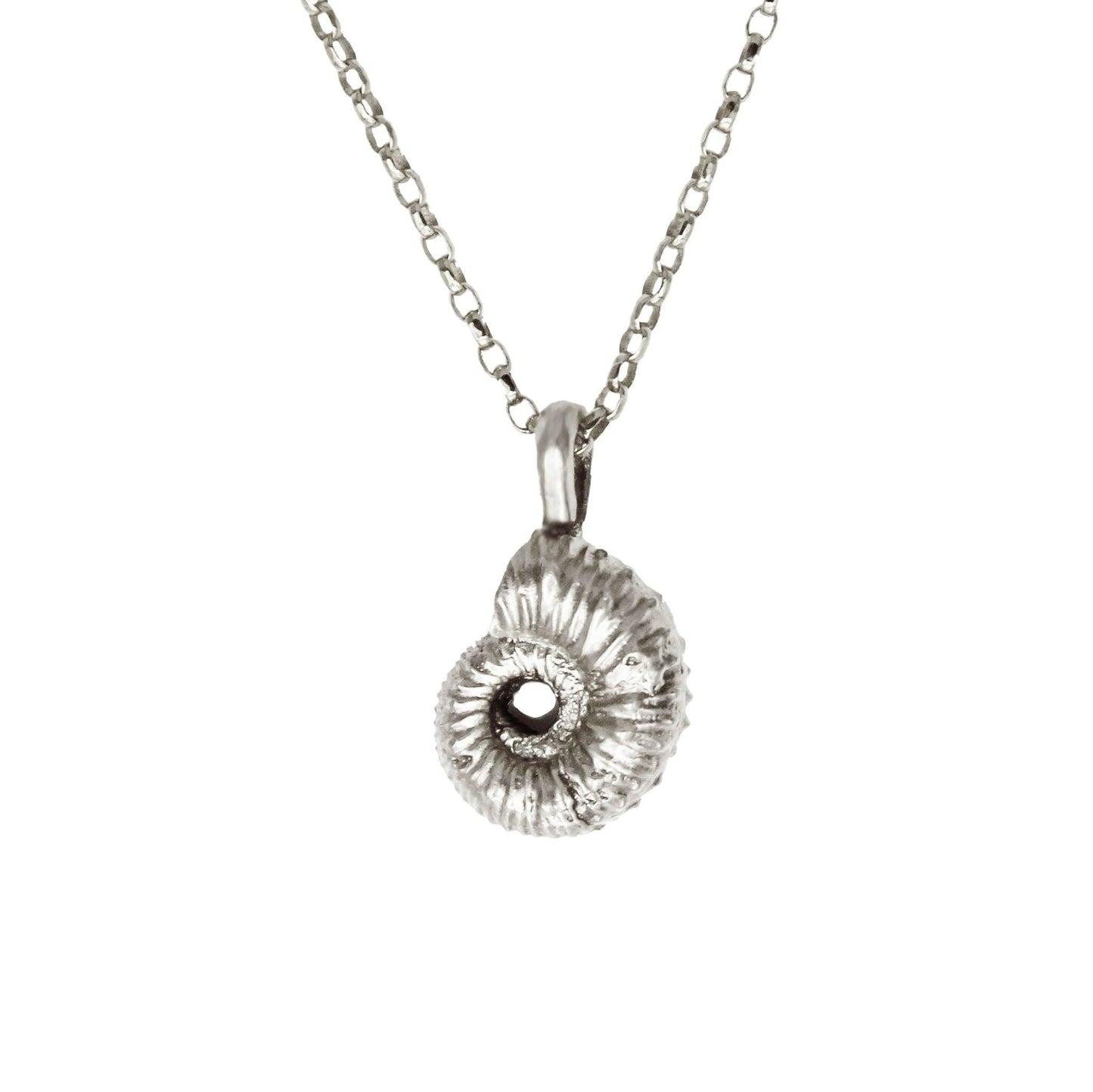 Ammonite Necklace - Silver