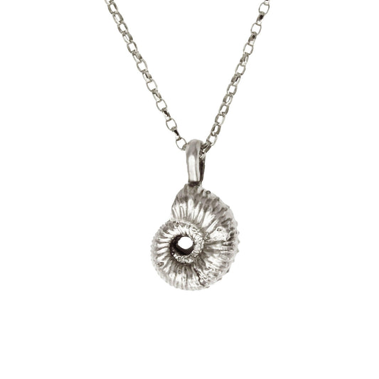Ammonite Necklace - Silver - Brotheridge