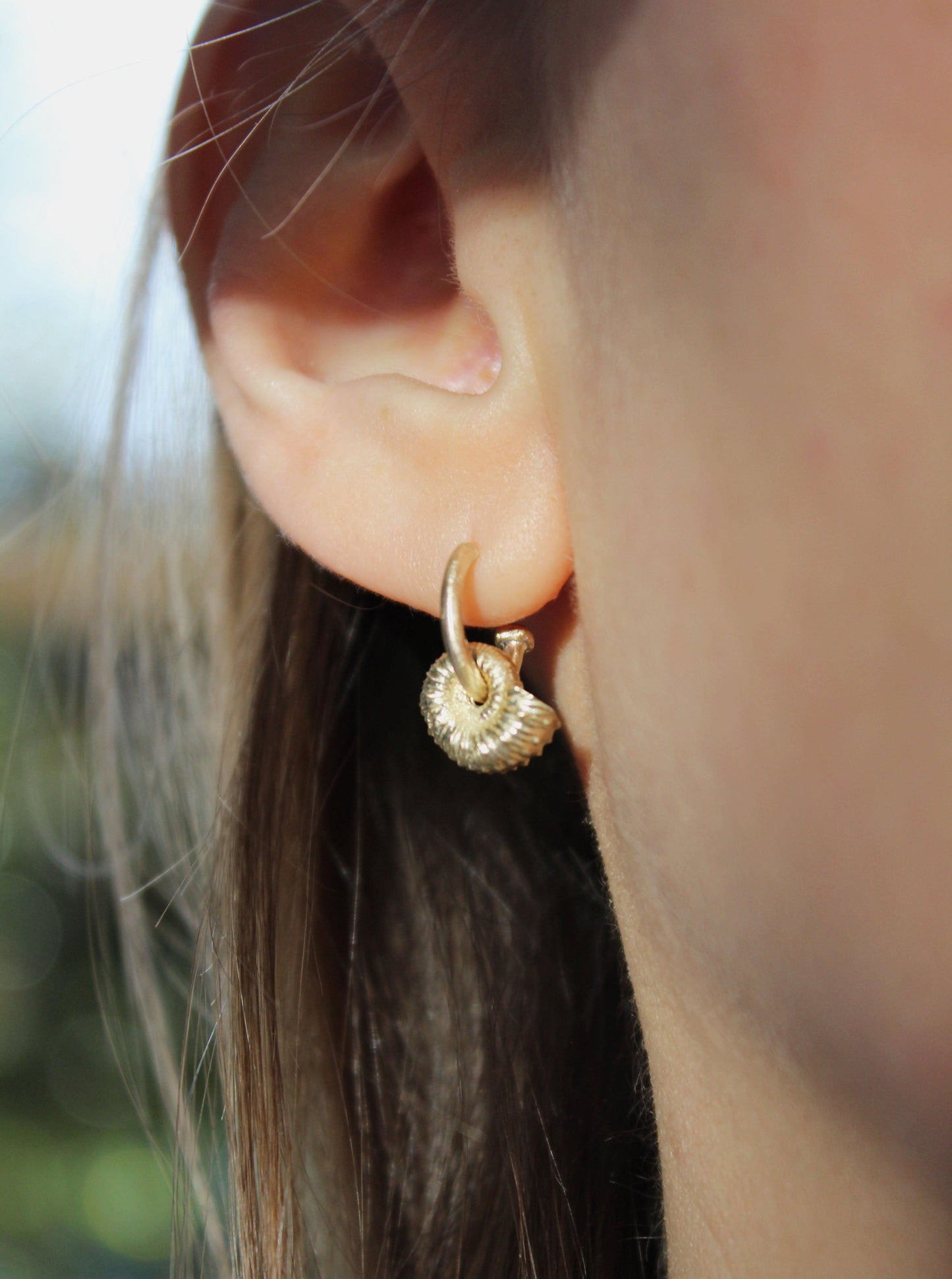 Ammonite Hoops - Solid Gold