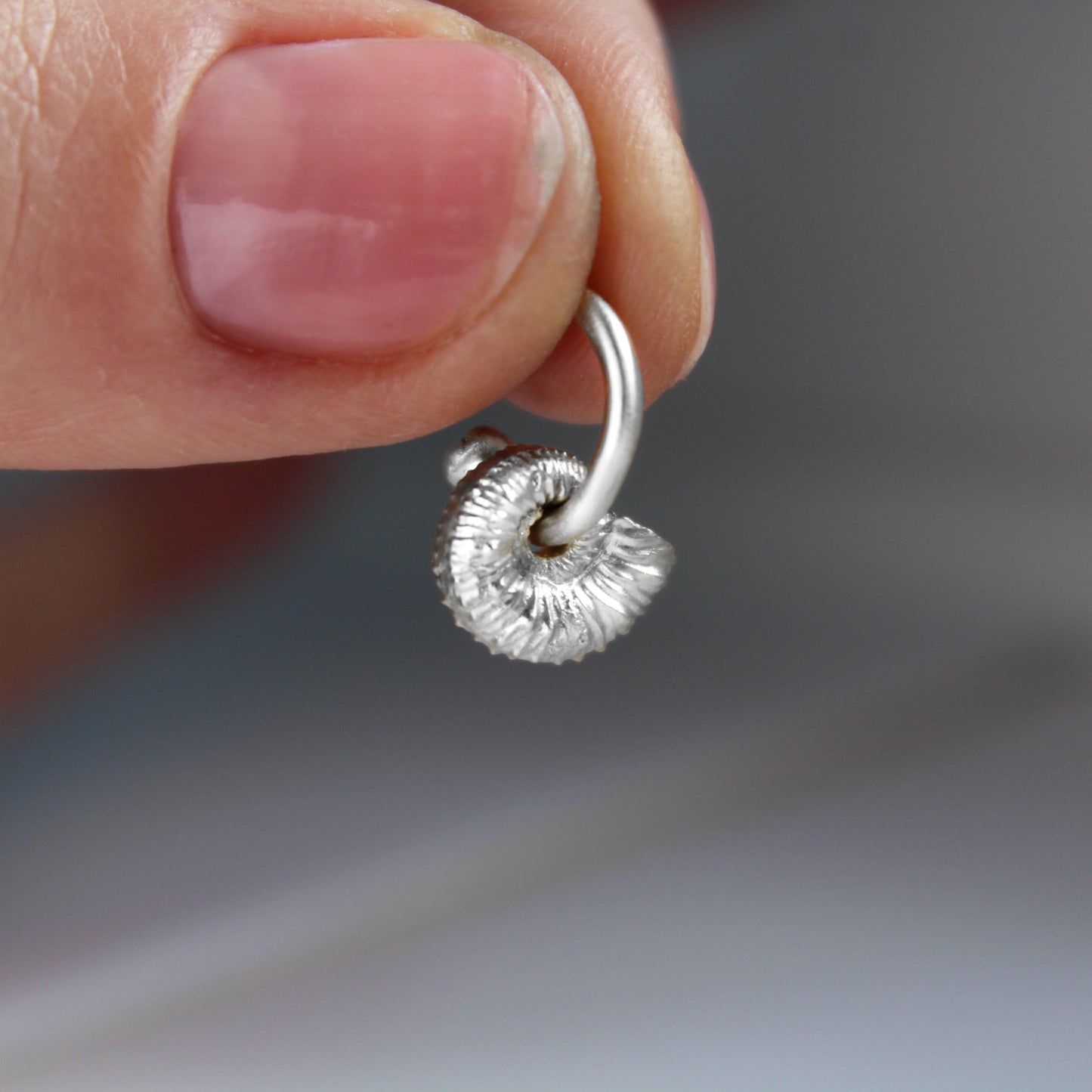Ammonite Hoops - Silver