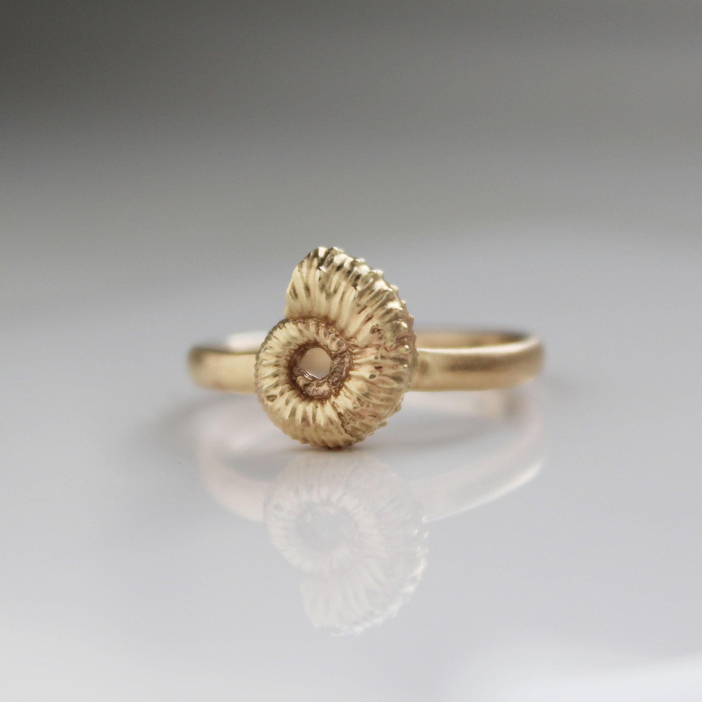 Ammonite Ring - Solid Gold - Brotheridge