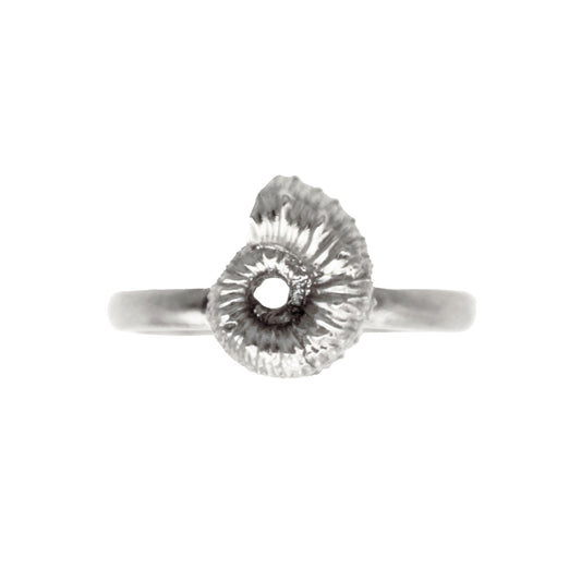 Ammonite Ring - Silver