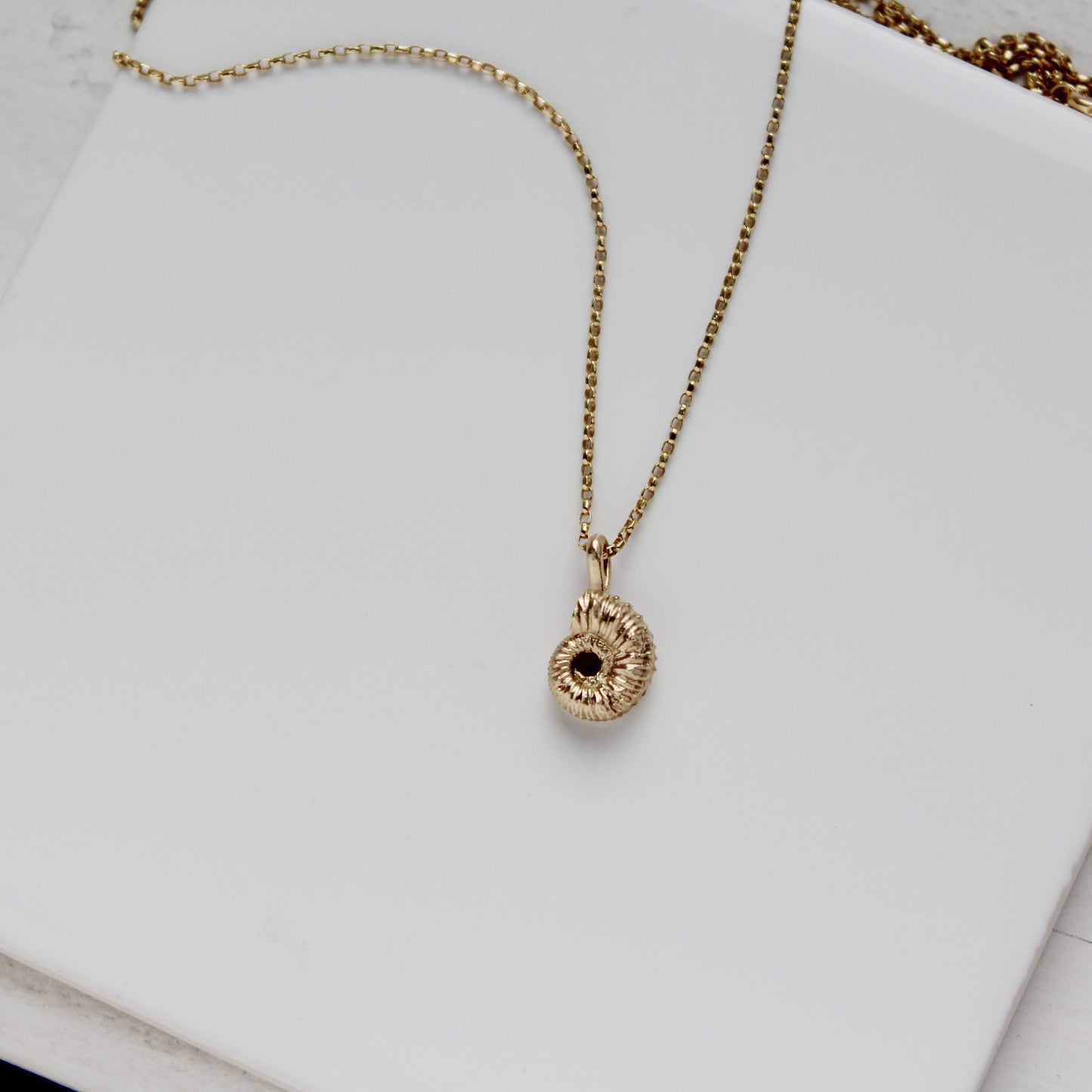 Ammonite Necklace - Solid Gold