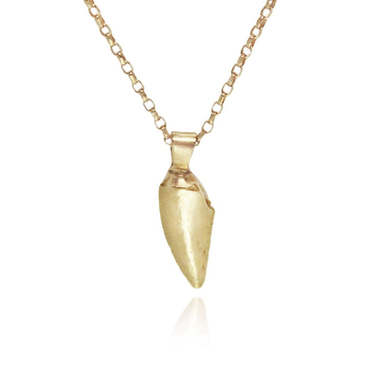 Raptor Tooth Necklace - Solid Gold - Brotheridge